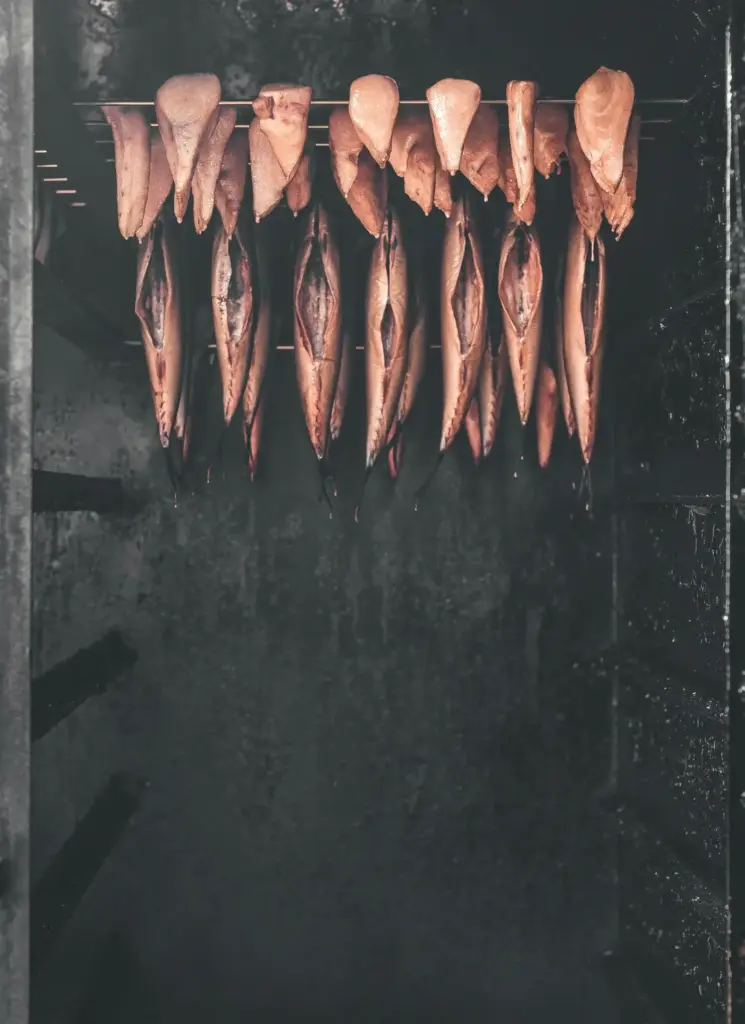 Frischer Fisch in Brandenburg und Sachsen im geöffneten dampfenden Räucherofen, frisch nach dem Räuchern